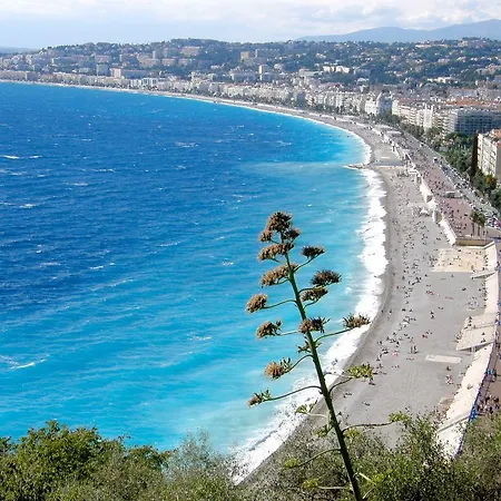 Les Palmiers Apartman